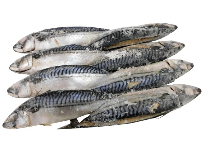 ノルウェー =塩鯖開き= 訳あり 8-10尾前後 約3.5-4kg 背開き 塩サバ 予約 入荷次第発送 5,510円