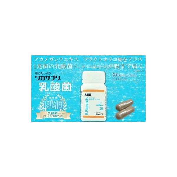 乳酸菌（フェカリス菌）（９０粒）3粒に約1兆個の乳酸菌を配合