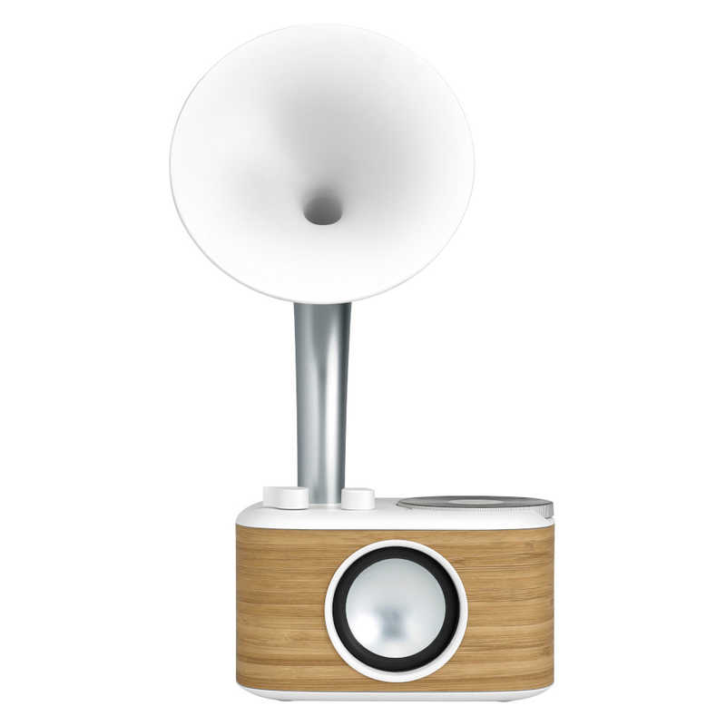 SANGEAN　FMラジオ対応 ブルートゥーススピーカー [Bluetooth対応]　WR-303WHITE