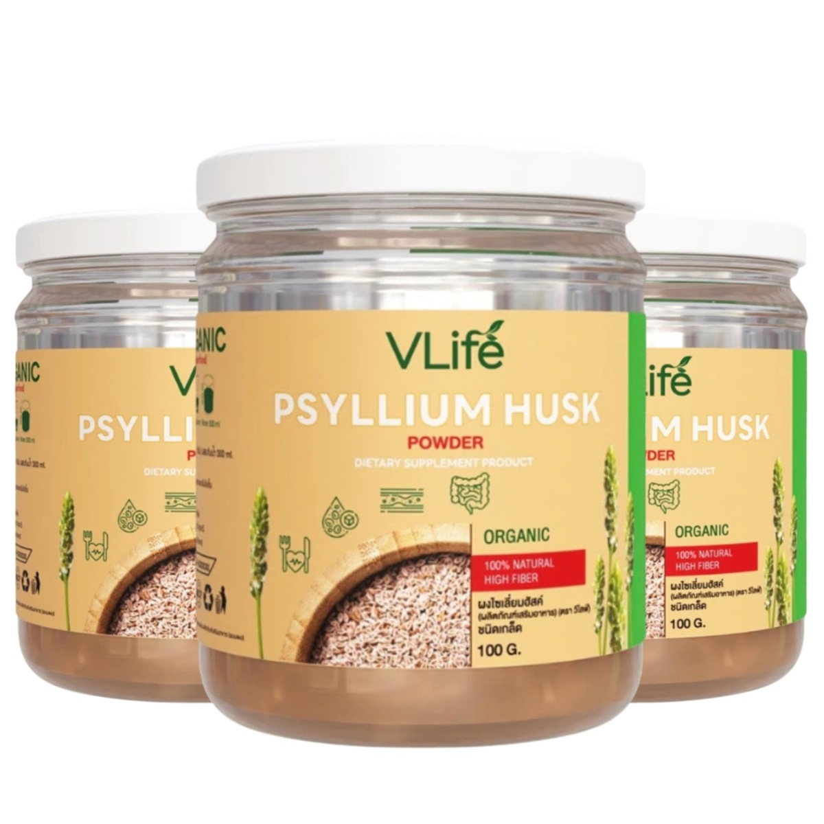 VLIFE PSYLIUM HUSK 1 Bottle/100 g. X3 Bottles