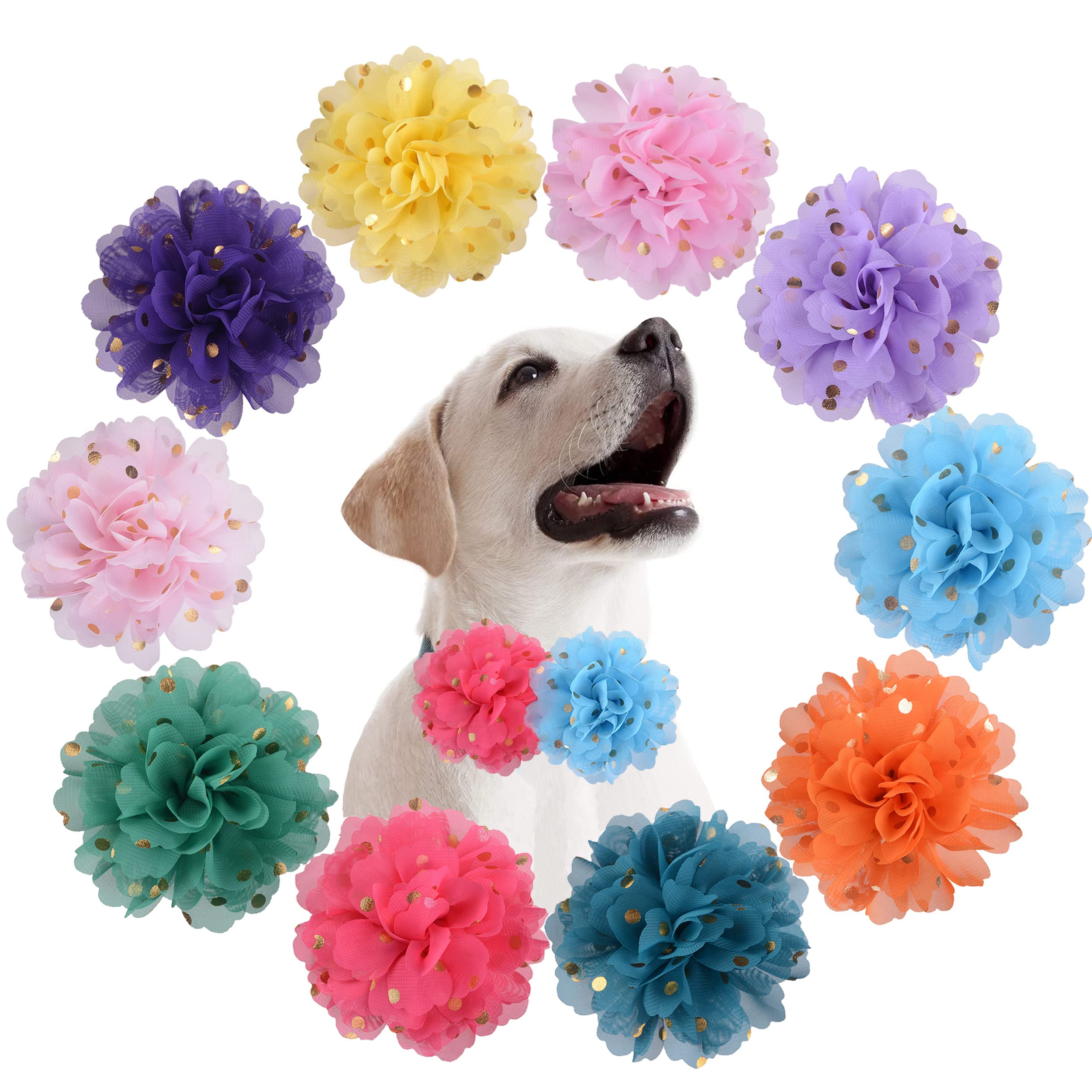 10個 犬の首輪の花 - マルチカラー子犬チャーム 小型中型大型犬用 - ウェディング&パーティーペットアクセサリー - 写真撮影対応 (ジェンダーニュートラルデザイン)