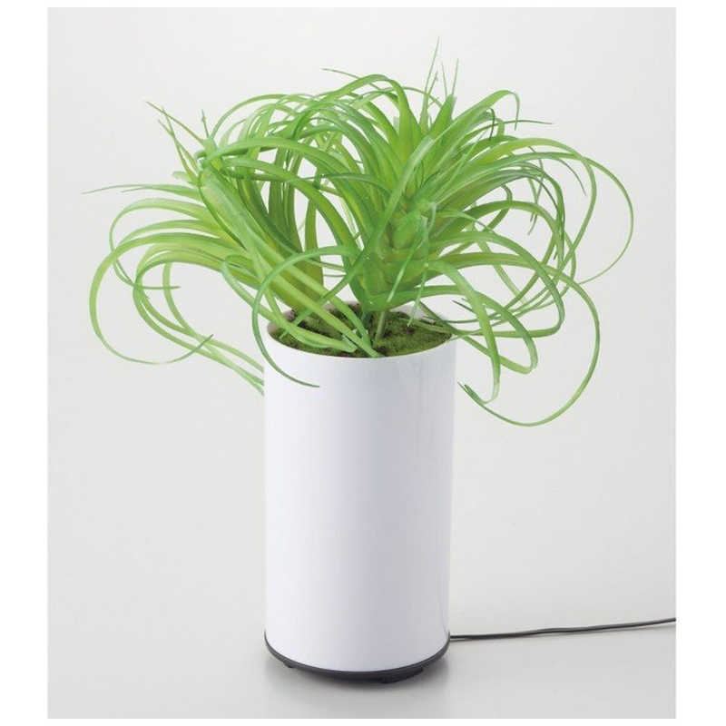 イシグロ　グリーンディフューザー タイプC 超音波式　70092