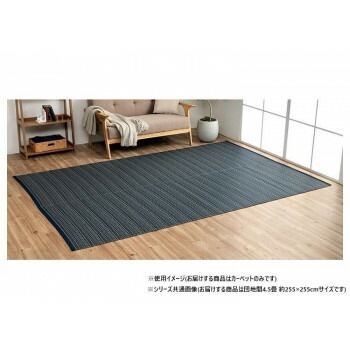 日本製 洗えるい草調カーペット ネイビー 団地間4.5畳 約255x255cm 1090031190402