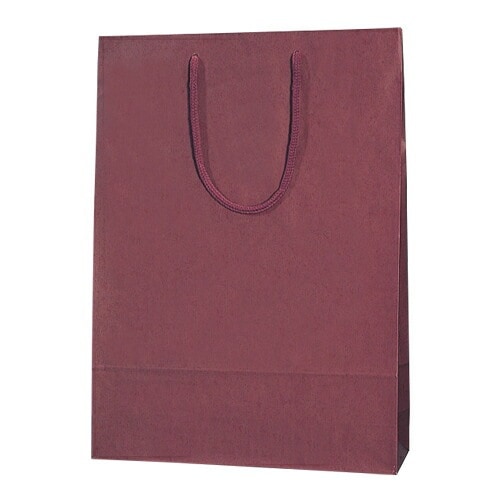 （まとめ買い）HEIKO 紙袋 カラーチャームバッグ 2才 縦450x横330mm エンジ 10枚入 005310113 [x3]