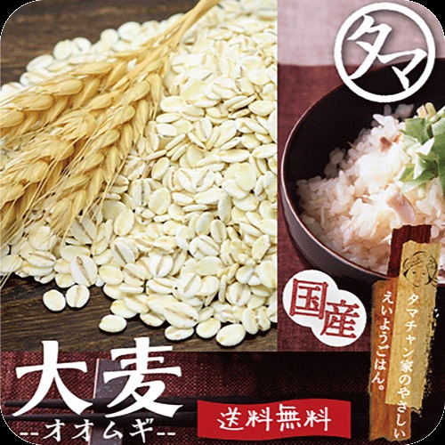 テレビで紹介！　九州産 大麦 10kg（250gｘ40袋）食べる食物繊維の宝庫な食材注目される第6の栄養素とされる食物繊維を豊富に含んだ食材炊飯や料理にお使い頂けます 大麦配合 おおむぎ