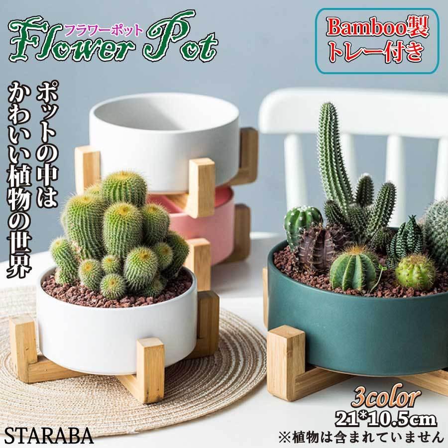 サボテン鉢 鉢 ガーデン セラミックス 多肉植物鉢 ハーブ [10月推奨/20%OFF]寄せ植え 園芸 オフィス 送料無料 竹トレー付き 陶器鉢 植木鉢 ポット プランタ 小型植物適用