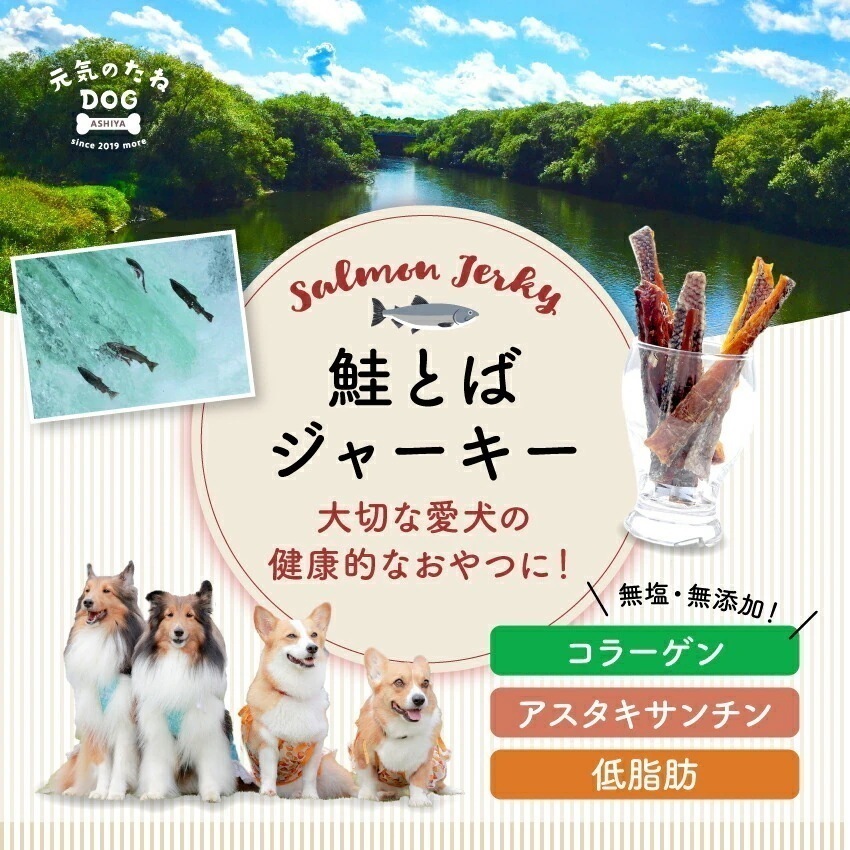 国産 無添加 犬 猫 おやつ 魚 ジャーキー 鮭 鮭とば 500g dog サーモン プレゼント ドックフード ドッグフード 犬用 猫用 ペットおやつ