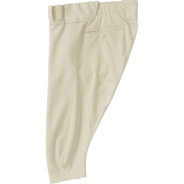 ZETT ゼット プロステイタスショートフィットパンツ 野球＆ソフトボール ユニフォーム パンツ BU528CP-3100