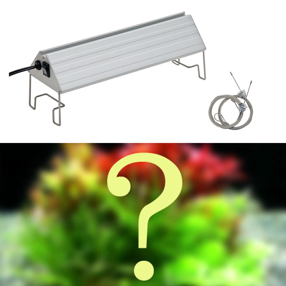 （水草）小型水槽用水中葉５種セット（無農薬）＋アクロＬＥＤ　ＶＩＶＩＤ３００　３０ｃｍ水槽用　本州四国限定　ＣＲＣ10―15―60―10―50