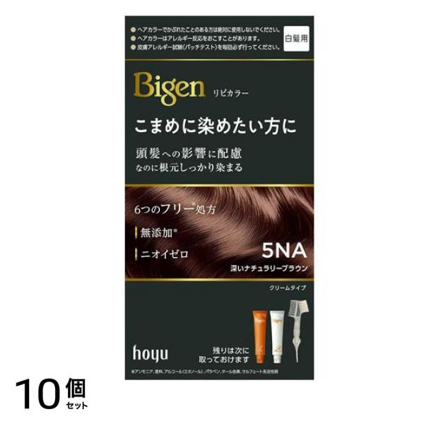 リピカラー 白髪用 5NA 深いナチュラリーブラウン 1組入 10個セット
