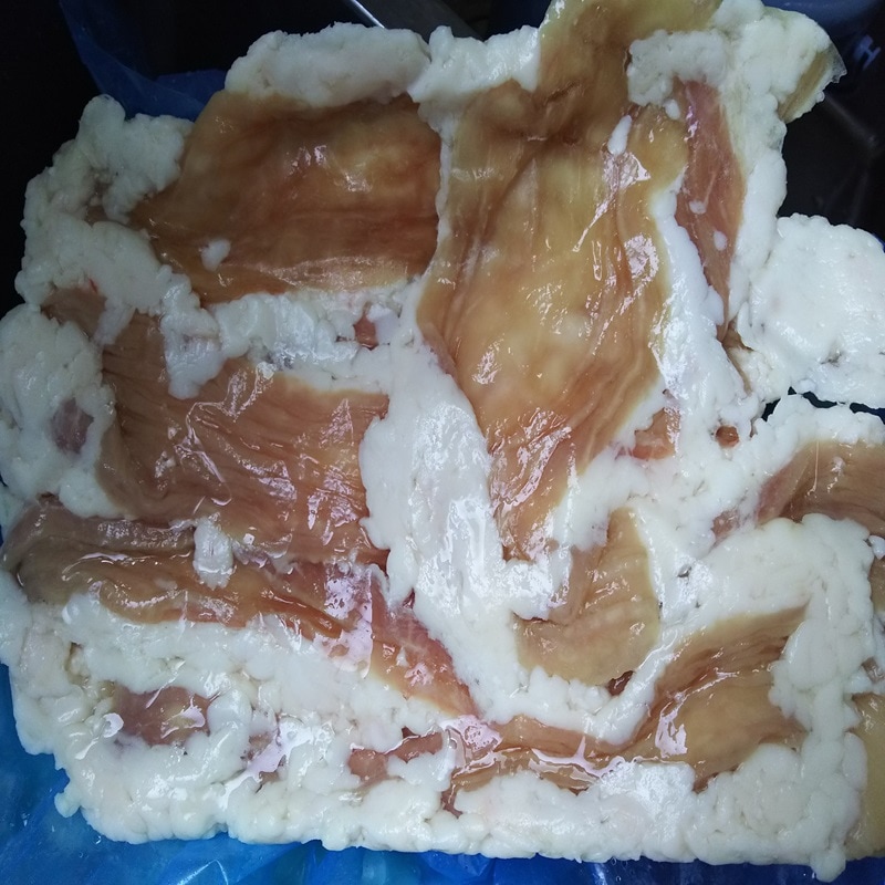 業務用　牛大腸　１ケース販売　約5kg　　シマ腸　テッチャン