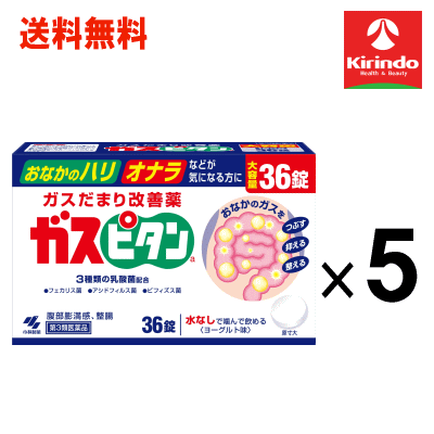 送料無料 5個セット【第3類医薬品】 小林製薬 ガスピタンa 36錠入×5個セット 整腸 おなら ガス おなかのハリ