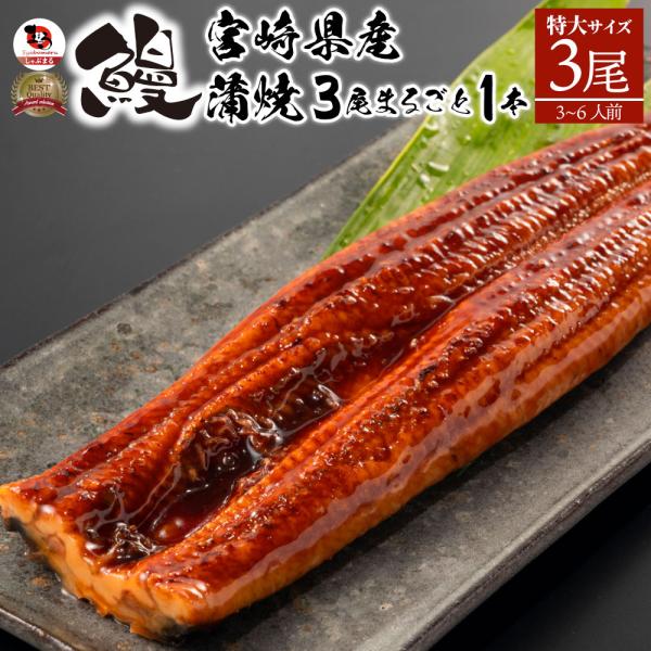 うなぎ 鰻 国産 宮崎産 蒲焼 まるごと1本 3尾 たれ・山椒付き 鰻 かば焼き 国産 土用 丑の日 湯煎 レンチン レンジOK 惣菜 冷凍食品 グルメ