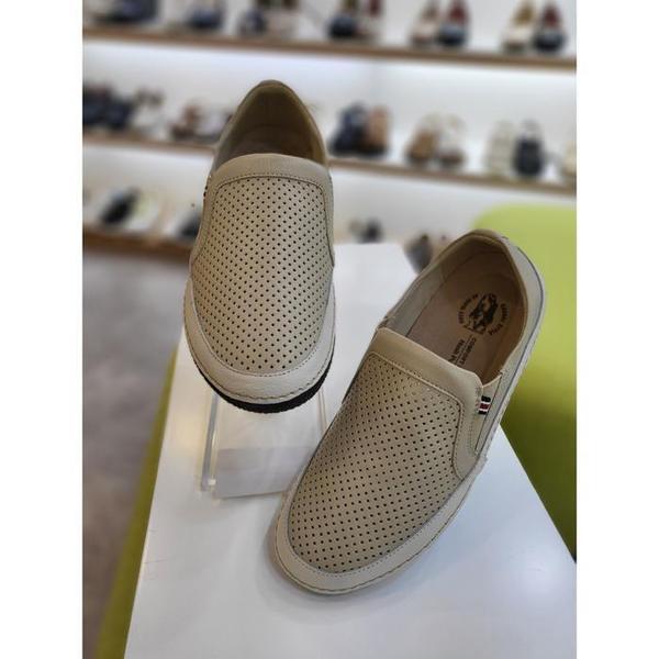 セーブゾーン03 女性 コンフォート カジュアル スリッポン AW3FQ455A (S44012918)