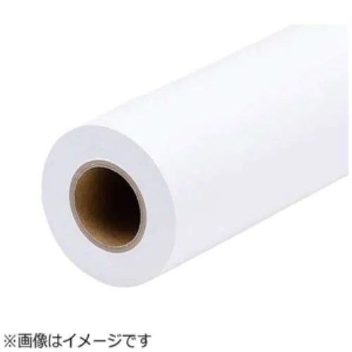 エプソン EPPP6436 普通紙ロール(薄手・914mm×50m・2本入り)