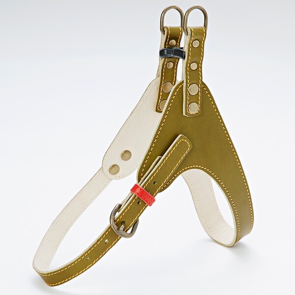 アンティークレザースタイルハーネス SS グリーン 本革 胴輪 栃木レザー 国産 小型犬 10kg
