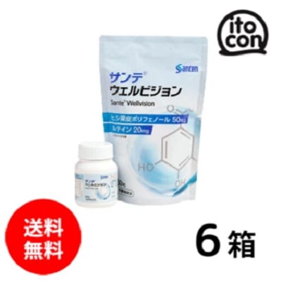 サンテ ウェルビジョン 6個