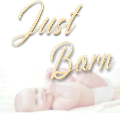 他サイト： ジャストボーン ニューボーンフォト 月齢フォト 木製 Just Born 月齢フォトグッズ レジストリー マンスリーカード(ブラウン)の商品画像