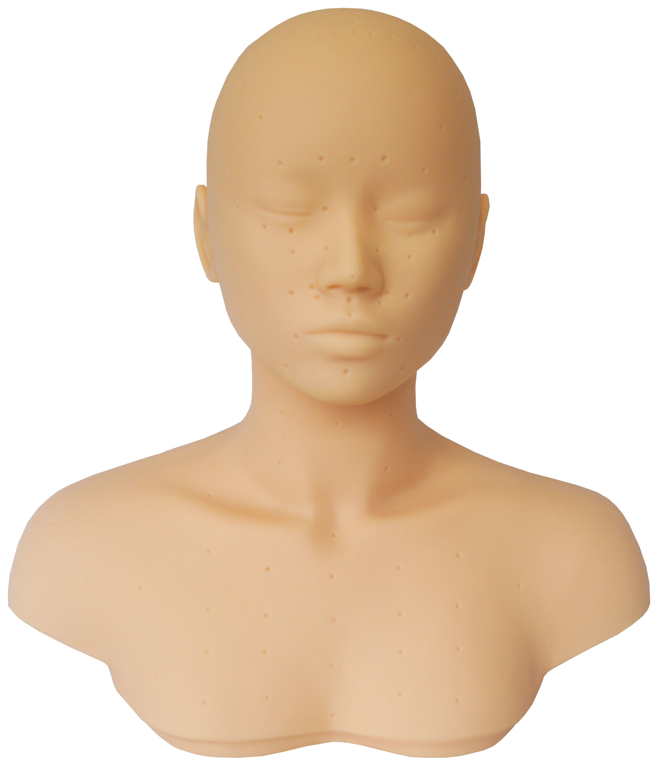 マッサージ練習用 デコルテ土台 マネキン （ツボ無し）