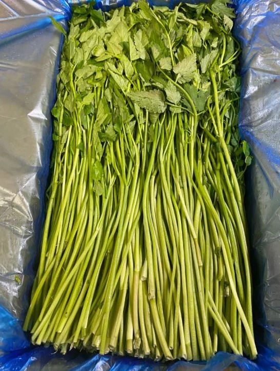 【韓国直冷蔵発送】ミナリ(セリ) 4kg 新鮮野菜（ミナリ韓国産ミナリミナリサムギョプサル）韓国産 韓国発送