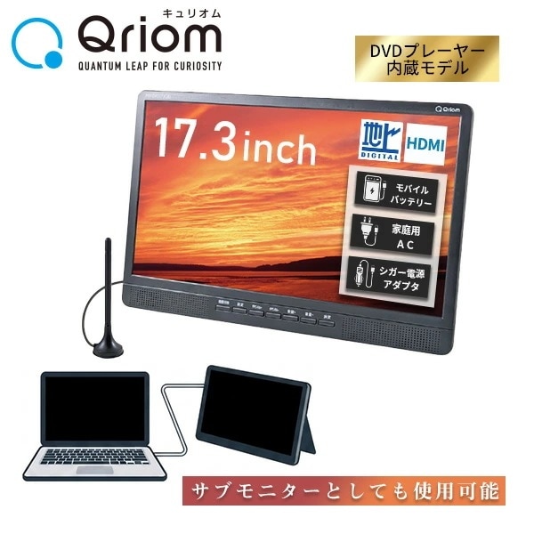 ポータブルテレビ 地上デジタル放送対応 DVDプレーヤー内蔵 17.3インチ 電源3WAY AC DC モバイルバッテリー mini B-CASカード付属 PTV-DVD173C