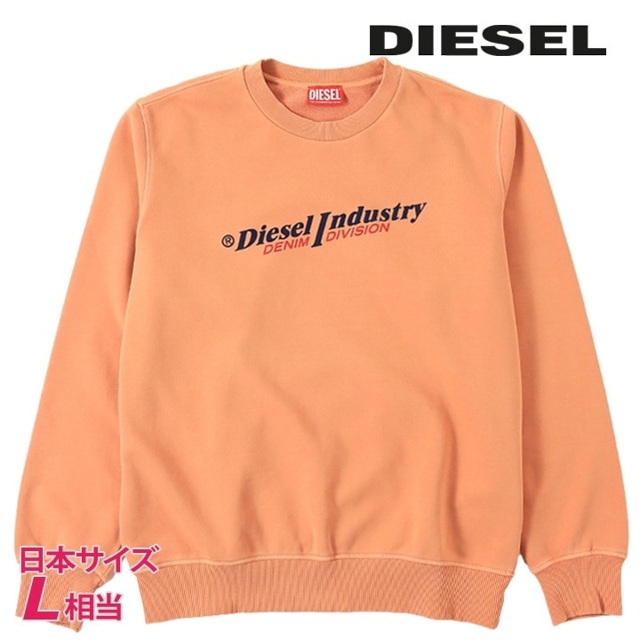 プルオーバースウェットシャツ トレーナー メンズ S-GINN-INDFELPA ヴィンテージウォッシュ ロゴプリント die-m-t-f4-3k7