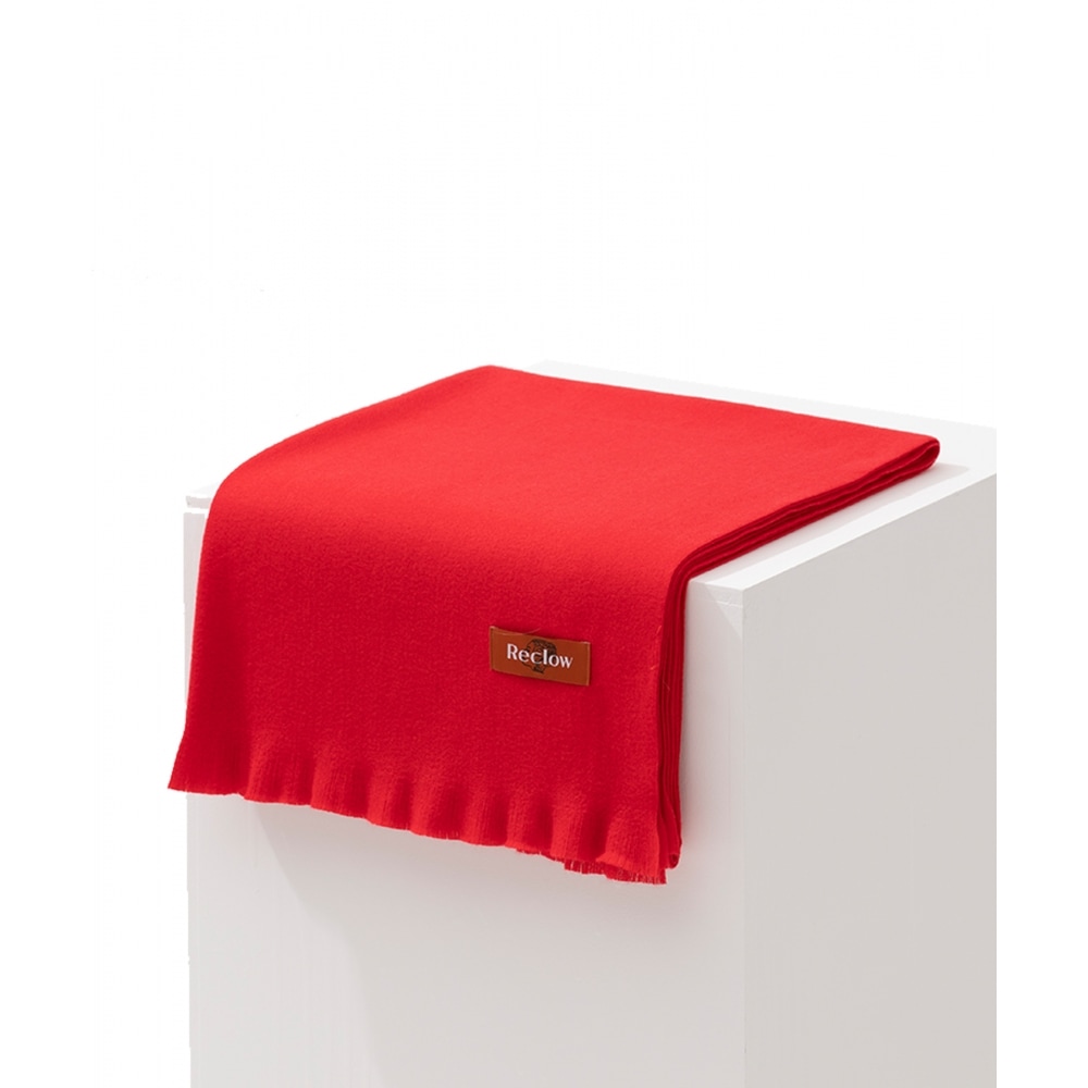 リクローRC ソフトプレーンマフラーレッド