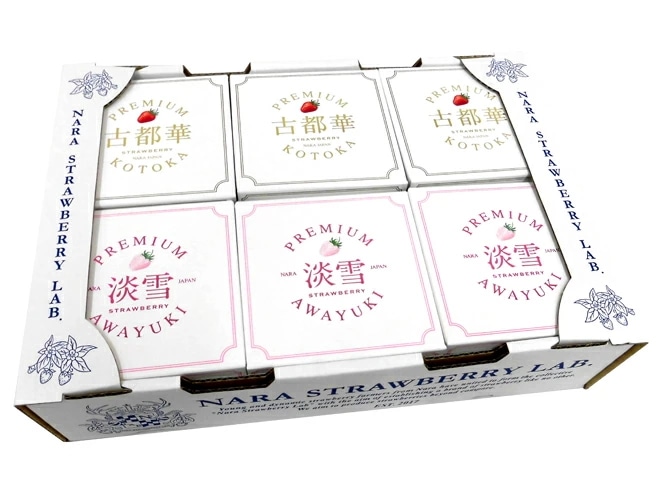 奈良県産=プレミアム 白いちご 淡雪いちご＋古都華いちご 紅白セット= 5L 3粒＋3粒 予約 1月中旬以降