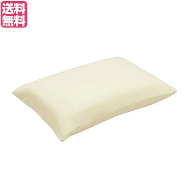 枕 消臭 枕カバー ゼンケン キュービックボディ枕 消臭枕カバー S-NPC-050-LB