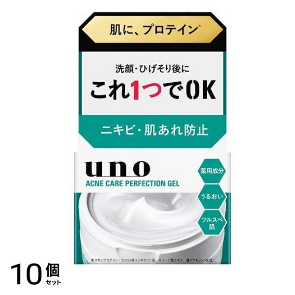 アクネケア パーフェクションジェル 90g 10個セット