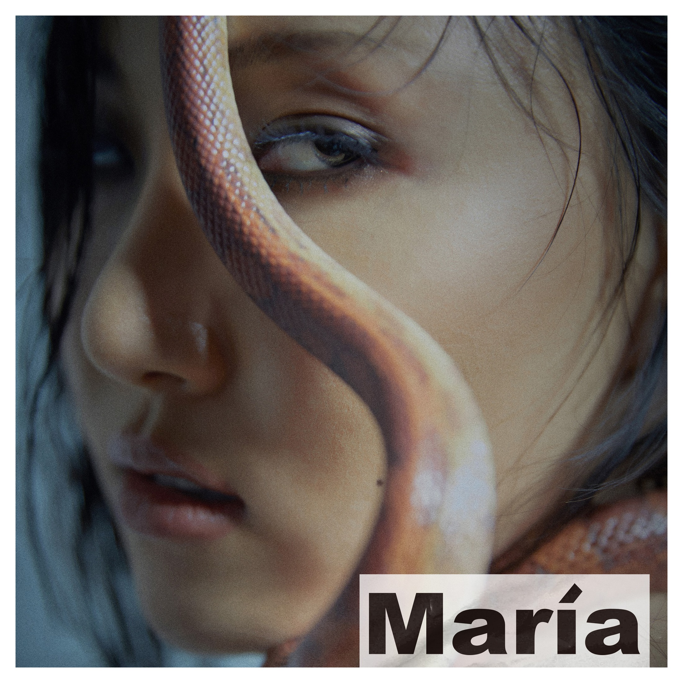 （TF012）豪華 - MARIAミニ1集アルバムフォトブックフォトカードランダム発送/ K-POP /韓国の発送