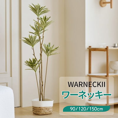 roomnhome ルームアンドホーム 人工観葉植物 コンペクタ 70×70×130cm 園芸 造花 ｜roomnhome(ルームアンドホーム) 人工観葉植物 モンテスラ 75×18×90cm 園芸 造花 人工 観葉植物｜人工観葉植物  オンライン通販