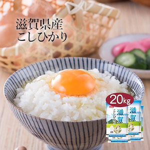 米 精米 滋賀県産 こしひかり 20kg 5kg 4セット 令和6年産 お米 こめ 20キロ 安い お米 白米 国産 食品 ギフト 引っ越し 挨拶 内祝い お歳暮 送料無料 おくさま印 新米