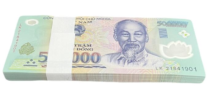 【鑑定書付き】 ベトナム 500,000 ドン 100枚連番 Vietnam 500,000 Dong 【未使用】 束 ホーチミン主席 ハイパーインフレ 話題の紙幣 人気 計5000万ドン