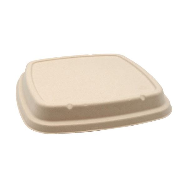 （まとめ）BB竹バガス弁当 N23-23F 共蓋 235x235x高さ18mm （50枚）[x3]