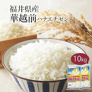 米 精米 福井県産 華越前 ハナエチゼン 10kg 5kg 2セット 令和6年産 お米 こめ 10キロ 安い おこめ 白米 国産 食品 ギフト 引っ越し 内祝い お歳暮 送料無料 おくさま印 新米