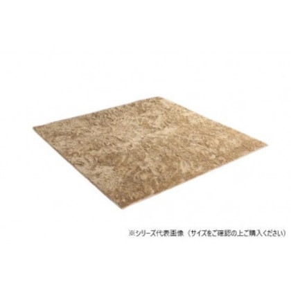 ラグ 制菌加工 約3畳 約200×250cm ホットカーペット対応 ベージュ 3985139