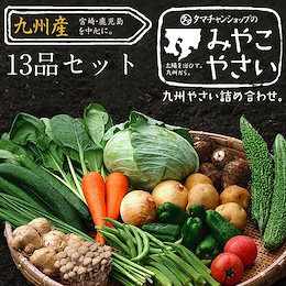 送料無料野菜/九州発の野菜セット 【送料無料】九州野菜お試し詰め合わせセット 九州野菜13品ベストセレクション 九州で採れた美味しい野菜をタマチャンショップが選りすぐりでたっぷり13品詰めてお届け!)