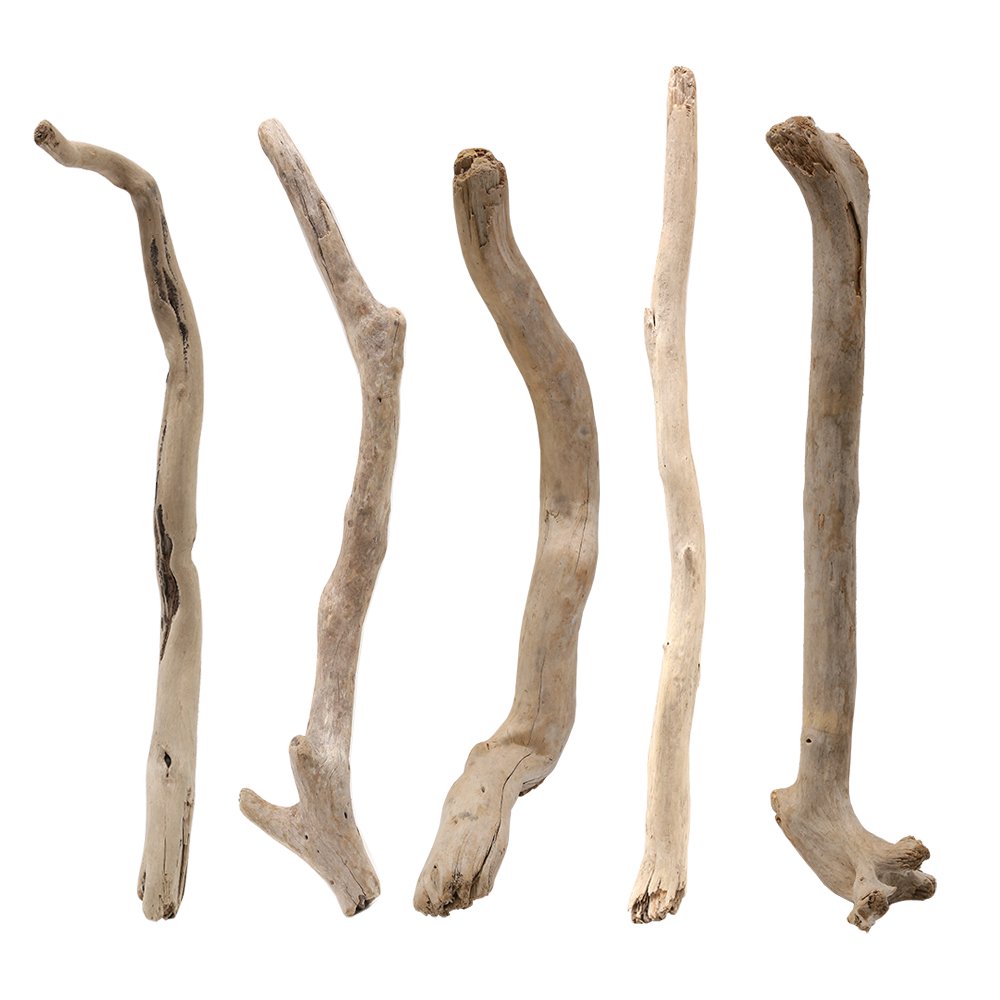 形状お任せ　棒状流木　ショート　５本セット　ＤＩＹ素材　インテリア用　ＣＲＣ21―10―99―00―00