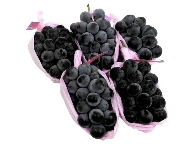 長野産=ナガノパープル= 秀品 4-7房 約3kg ぶどう 予約 9月以降