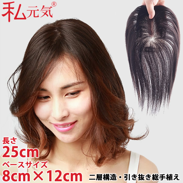 私元気 人毛 部分ウィッグ BHADS812-25 (送料無料) ポイントウィッグ 白髪かくし つけ毛 トップカバー 女性 レディース つむじ付き レミーヘアー レミーヘア 自然 ナチュラル