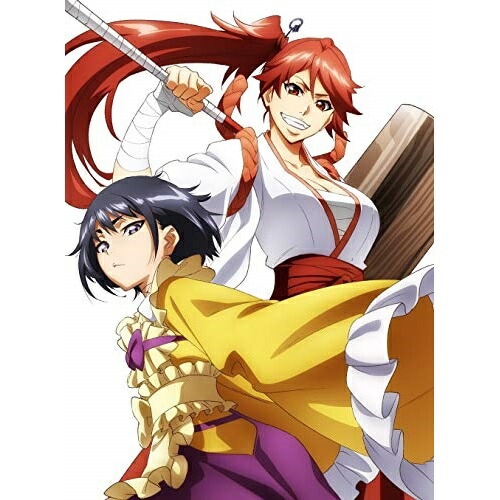 新サクラ大戦 the Animation 第2巻(特装版) ／ サクラ大戦 (DVD) PCBP-54312