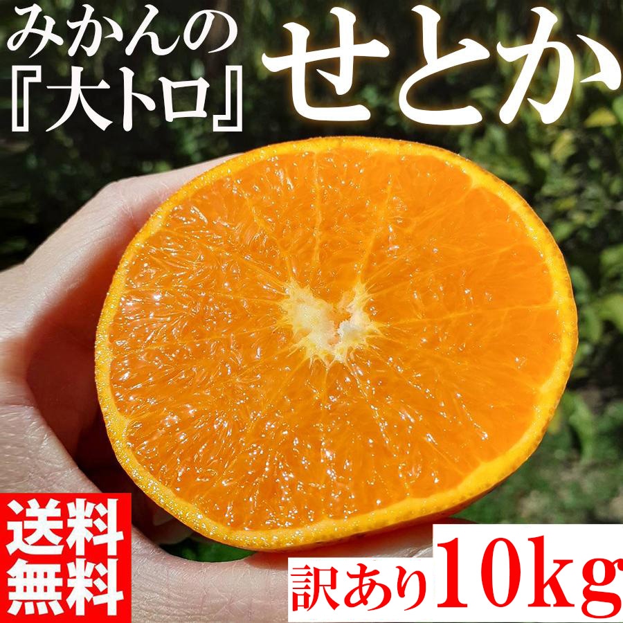 3月中旬発送予約販売 せとか みかんの大トロ 10kg 訳あり 和歌山県産 みかん 9,216円