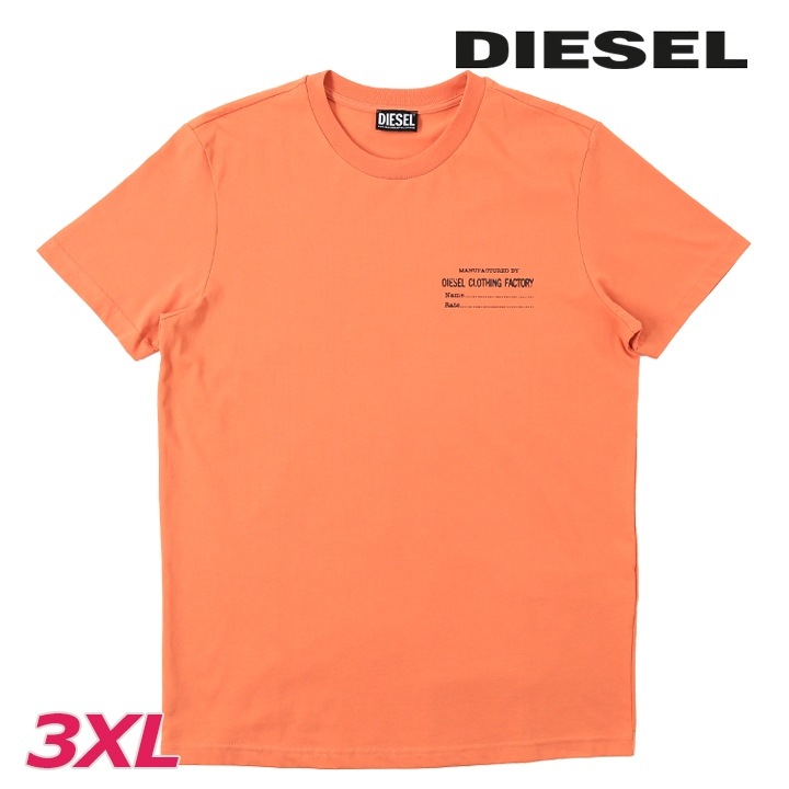 半袖Tシャツ カットソー メンズ T-DIEGOR-C5 セミラバープリント クルーネック die-m-t-f4-47n