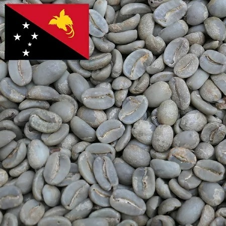 【売れ筋】 コーヒー生豆 5kg パプアニューギニア AA パラダイス プレミア 大山珈琲 レギュラーコーヒー