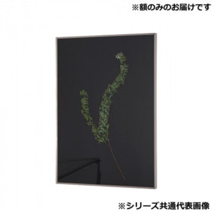 アルナ 額縁 シンプル ALUMIUM RIM マットシルバー 半切 16693