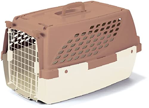 ペットスイート チョコ M サイズ アウトドア 防災 ハードタイプ ペットキャリー