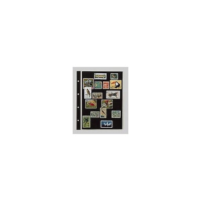 他サイト： テージー SB-306S スタンプスペアー６段台紙【１０枚】 SB306Sの商品画像