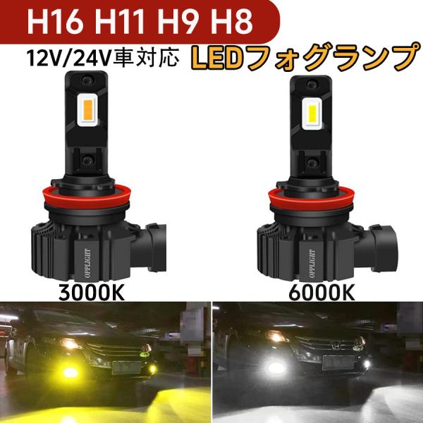 H11 LEDフォグランプ H16 H9 H8 兼用 ホワイト 6000K 車検対応 6000LM 高照度 ファンレス一体 ポン付け 純正交換 ヘッドライト可 角度調整 12 24V 1年保証