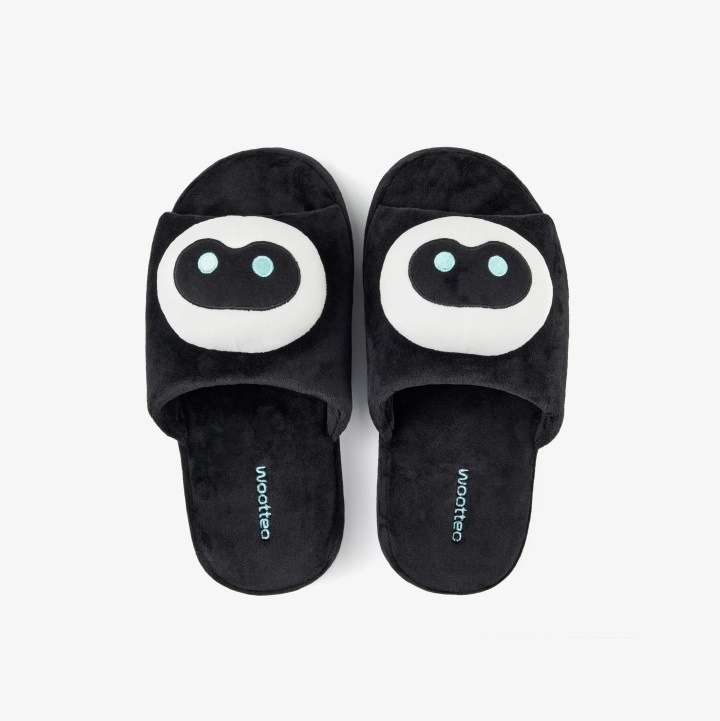 BTS Wootteo Room Shoes 6,260円